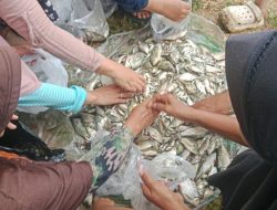 Pesta Rakyat Penangkapan Ikan di Bendungan Cilopadang 2