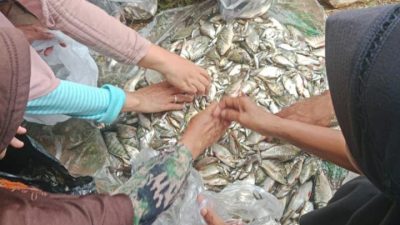 Pesta Rakyat Penangkapan Ikan di Bendungan Cilopadang 2.
